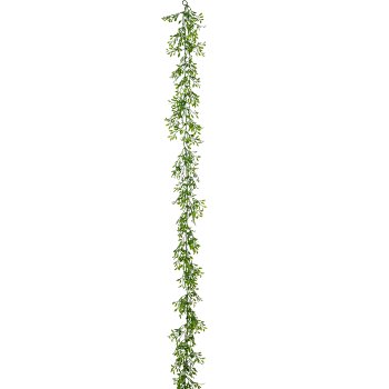 Asparagoides garland, 192cm, green