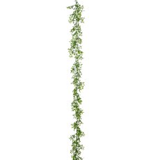 Asparagoides garland, 192cm, green
