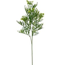 Sulphine herb branch, 74cm, green