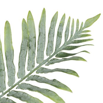 Fern bush, 52cm, grey