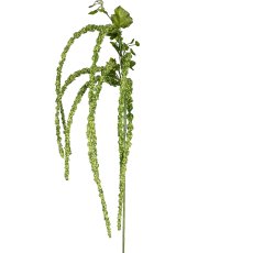 Amaranthus, 94cm, green