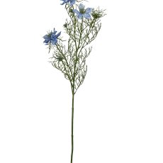 Nigellla, 68cm, hellblau