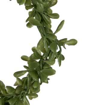 Box wreath, 13cm, green