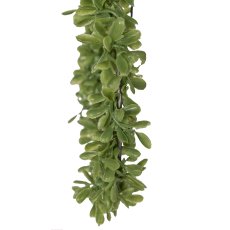 Box wreath, 13cm, green