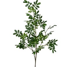Moringa branch, 105cm, green
