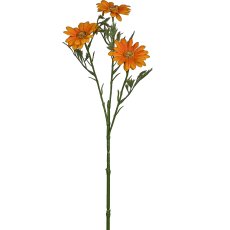 Margerite x3, 46cm, orange