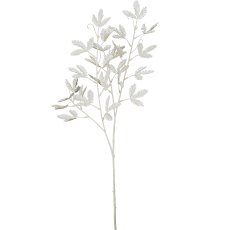 Mimosa branch, 80cm, natural white
