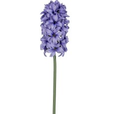 Hyazinthe, 42cm, lila