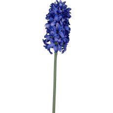 Hyazinthe, 42cm, blau