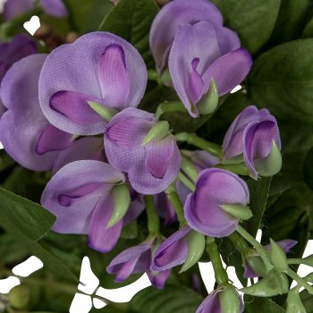 Wisteria wreath, 60cm, light lilac