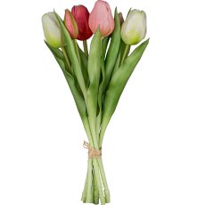 Tulip bunch x6, 32cm, pale pink