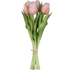 Tulip bunch x6, 32cm, light pink