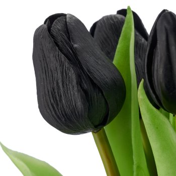 Tulpenbund x6, 32cm, schwarz