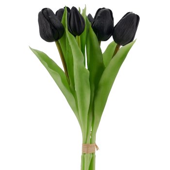 Tulpenbund x6, 32cm, schwarz