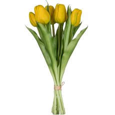 Tulip bunch x6, 32cm, yellow