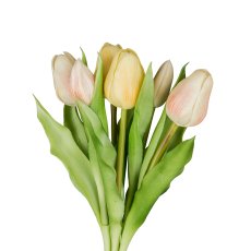 Tulip bunch x6, 32cm, light yellow