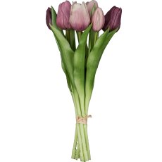 Tulip bunch x6, 32cm, light lilac