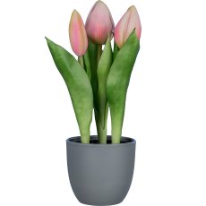 Tulip pot x3, 20.5cm, light pink