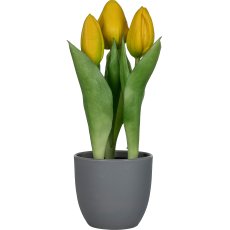 Tulip pot x3, 20.5cm, yellow