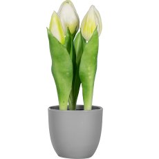 Tulip pot x3, 20.5cm, white