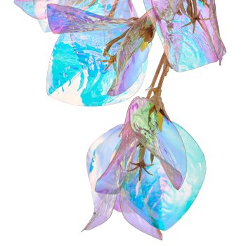 Bougainvillea branch, 98cm, transparent