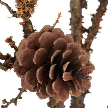 Pine branch with natural cones, 100cm, green