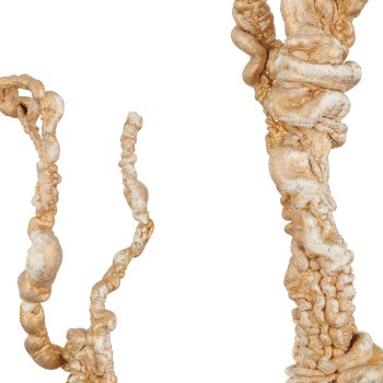 Wurzelzweig, 120cm, champagner