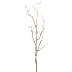 Wurzelzweig, 120cm, champagner