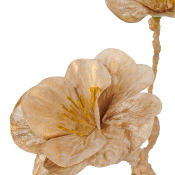 Root branch with blossoms, 63cm, champagne