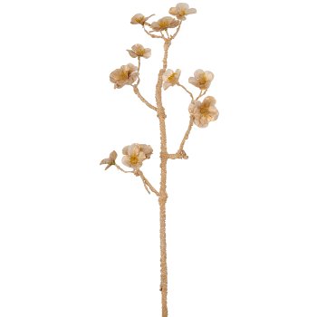 Root branch with blossoms, 63cm, champagne