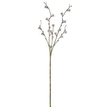 Eukalyptusfruchtzweig, 72cm, grau