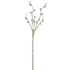 Eukalyptusfruchtzweig, 72cm, grau