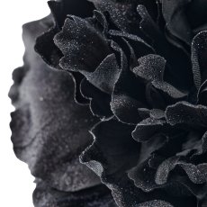 Wild rose, 52cm, black