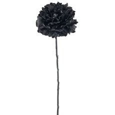 Wild rose, 52cm, black