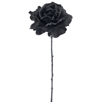 Rose, 57cm, black