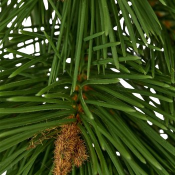 Pine garland, 170cm, green