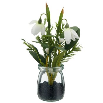Schneeglöckchen, 20cm, weiß, im Glas 5x5x6,7cm