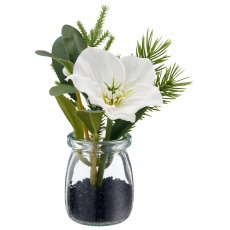 Christmas rose, 15.5cm, white, in glass 5x5x6.7cm