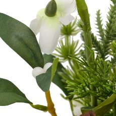 Arrangement mit Schneeglöckchen, 20cm, weiß, in grauem Kunststofftopf
