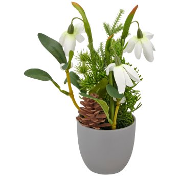 Arrangement mit Schneeglöckchen, 20cm, weiß, in grauem Kunststofftopf