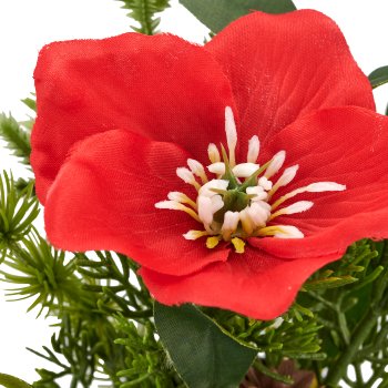 Arrangement mit Christrose, 18cm, rot, in grauem Plastiktopf