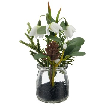 Snowdrop, 20cm, white, in glass 7x7x7.5cm
