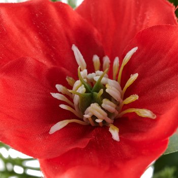 Sträußchen mit Christrose, 30cm, rot
