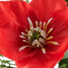 Sträußchen mit Christrose, 30cm, rot