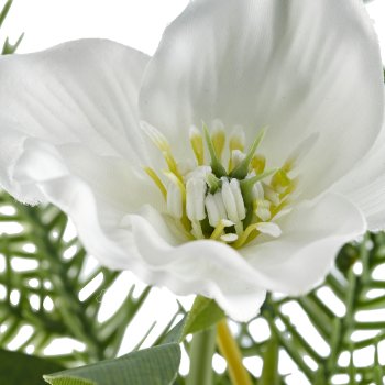 Sträußchen mit Christrose, 30cm, weiß