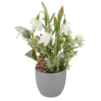 Arrangement mit Schneeglöckchen geeist, 20cm, weiß, im grauem Kunststofftopf