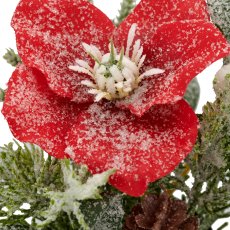 Arrangement with iced Christmas rose, 17cm, red, in black plastic pot 7x7x7cm