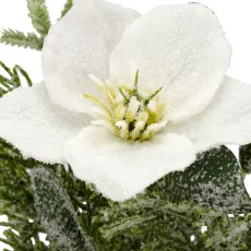 Arrangement with iced Christmas rose, 17cm, white, in grey plastic pot 7x7x7cm