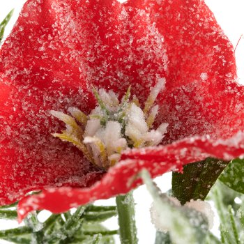 Sträußchen mit Christrose geeist, 30cm, rot