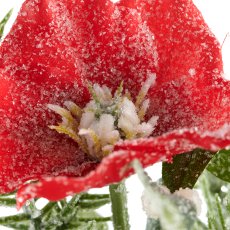Sträußchen mit Christrose geeist, 30cm, rot